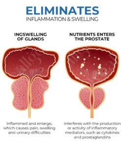 LOVILDS™BeeBoom Nasal Inhaler For Prostate Wellness