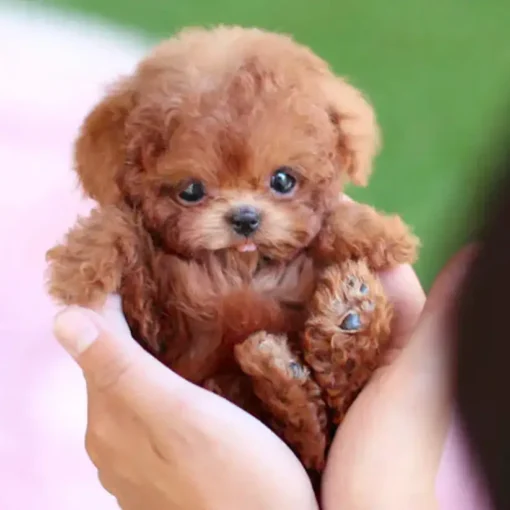 The Most Realistic Robot Puppy Ever!